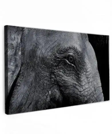 Canvas Olifant - detail van een olifant in zwart-wit schilderij voor wanddecoratie.