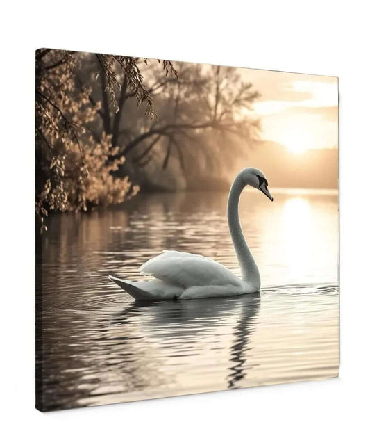 Swan at Sunset canvas schilderij - Elegante zwaan die rustig over het water peddelt bij zonsondergang.