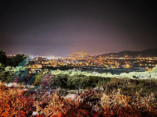 Hilltop View - Online Schilderij - Canvas Schilderij